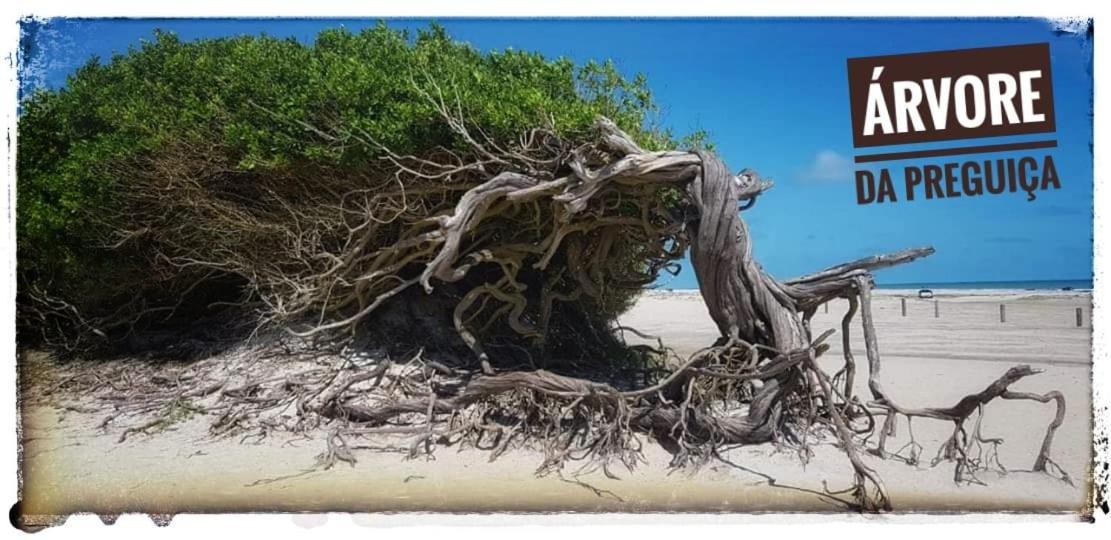 Casa de temporada Jijoca de Jericoacoara Exterior foto